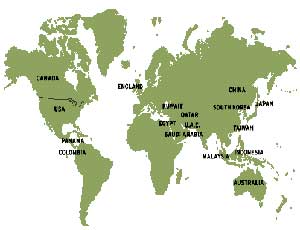 航空券世界地図